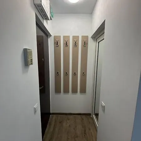 Apartment Garsoniera Moderna Timisoara